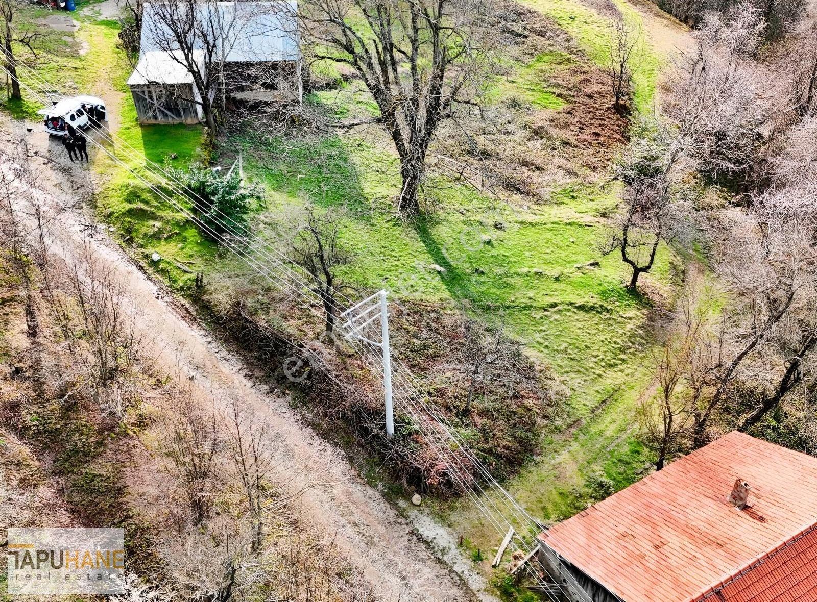 Tapuhane'den Hendek Aksu Mah. İmarlı 1000 M2 Satılık Arsamız - Görsel 3