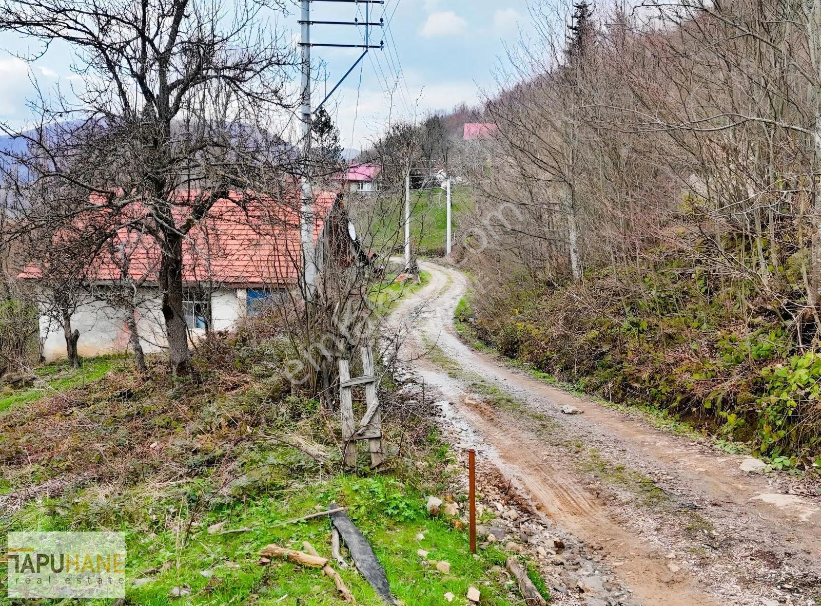 Tapuhane'den Hendek Aksu Mah. İmarlı 1000 M2 Satılık Arsamız - Görsel 5