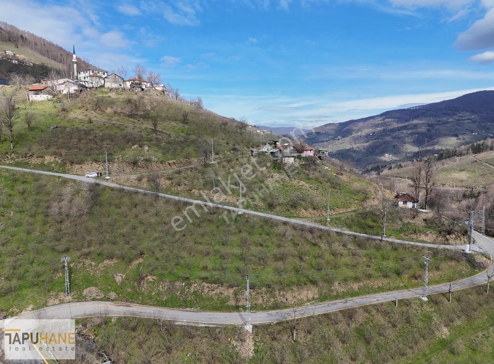 Tapuhane'den Satılık 3166 M2 Çift Yol Cepheli Arsa - Görsel 3