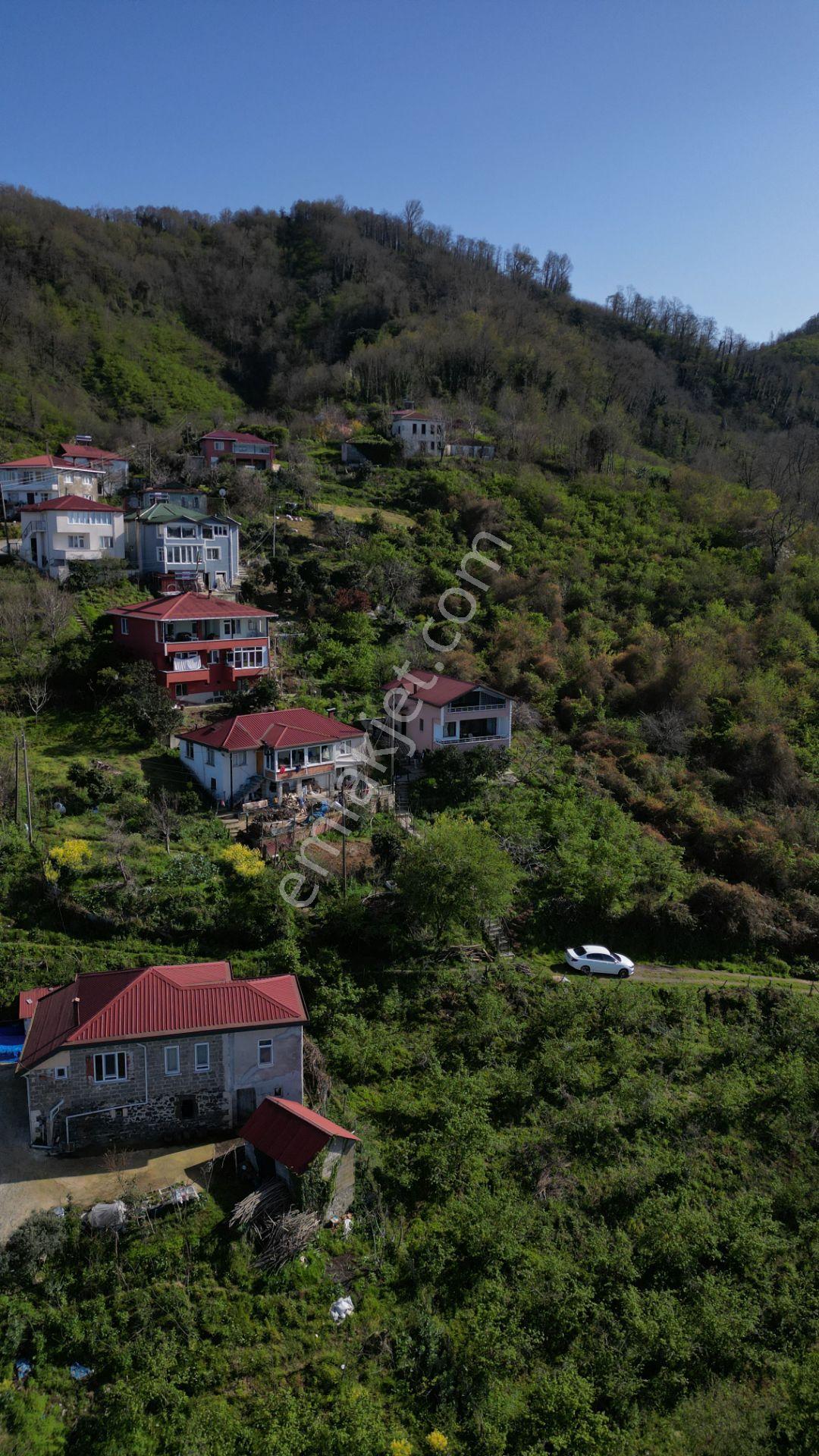 Century 21'den Perşembe Mersin Mah Deniz Manzaralı Satılık Villa - Görsel 34
