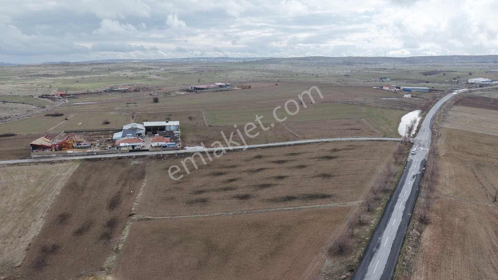 Çevrilde Anayol Üzerinde Satılık Tek Tapu Tarla