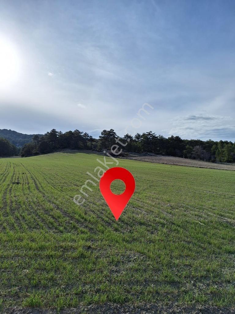Burdur-merkez-bereket Köyü 8.085 M² Müstakil Tapu Satılık Tarla