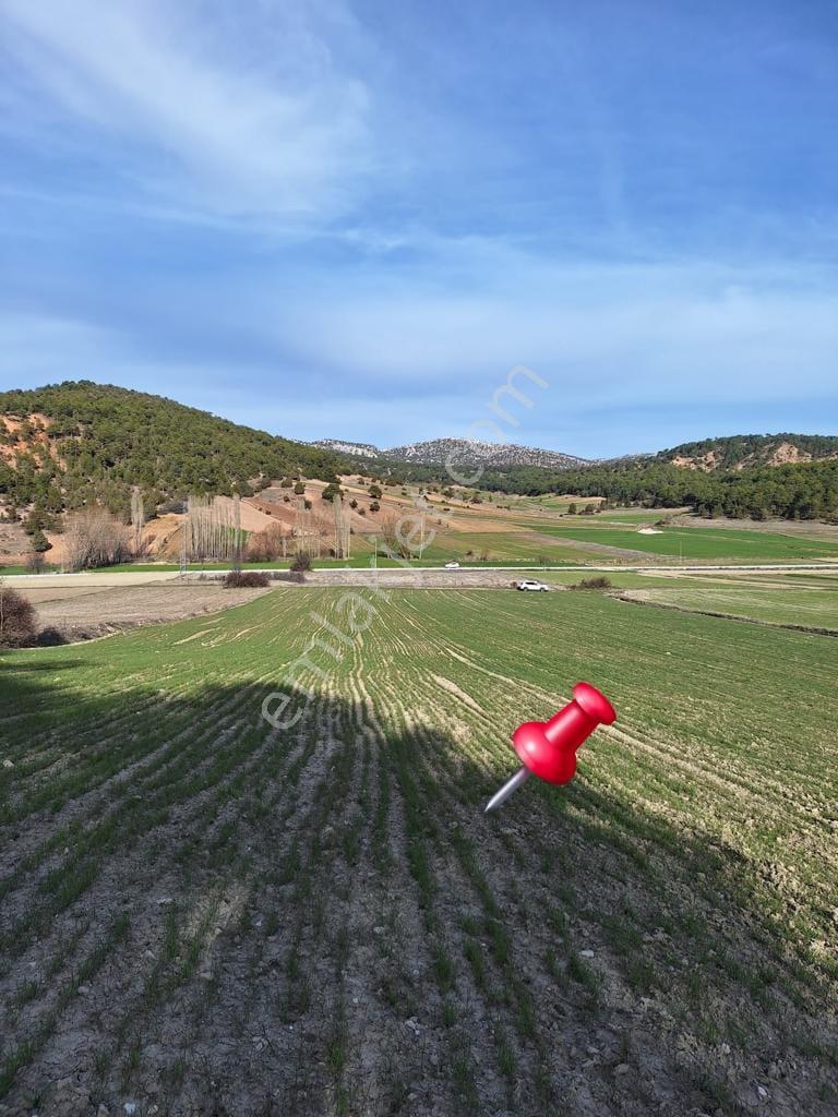 Burdur-merkez-bereket Köyü 8.085 M² Müstakil Tapu Satılık Tarla - Görsel 4