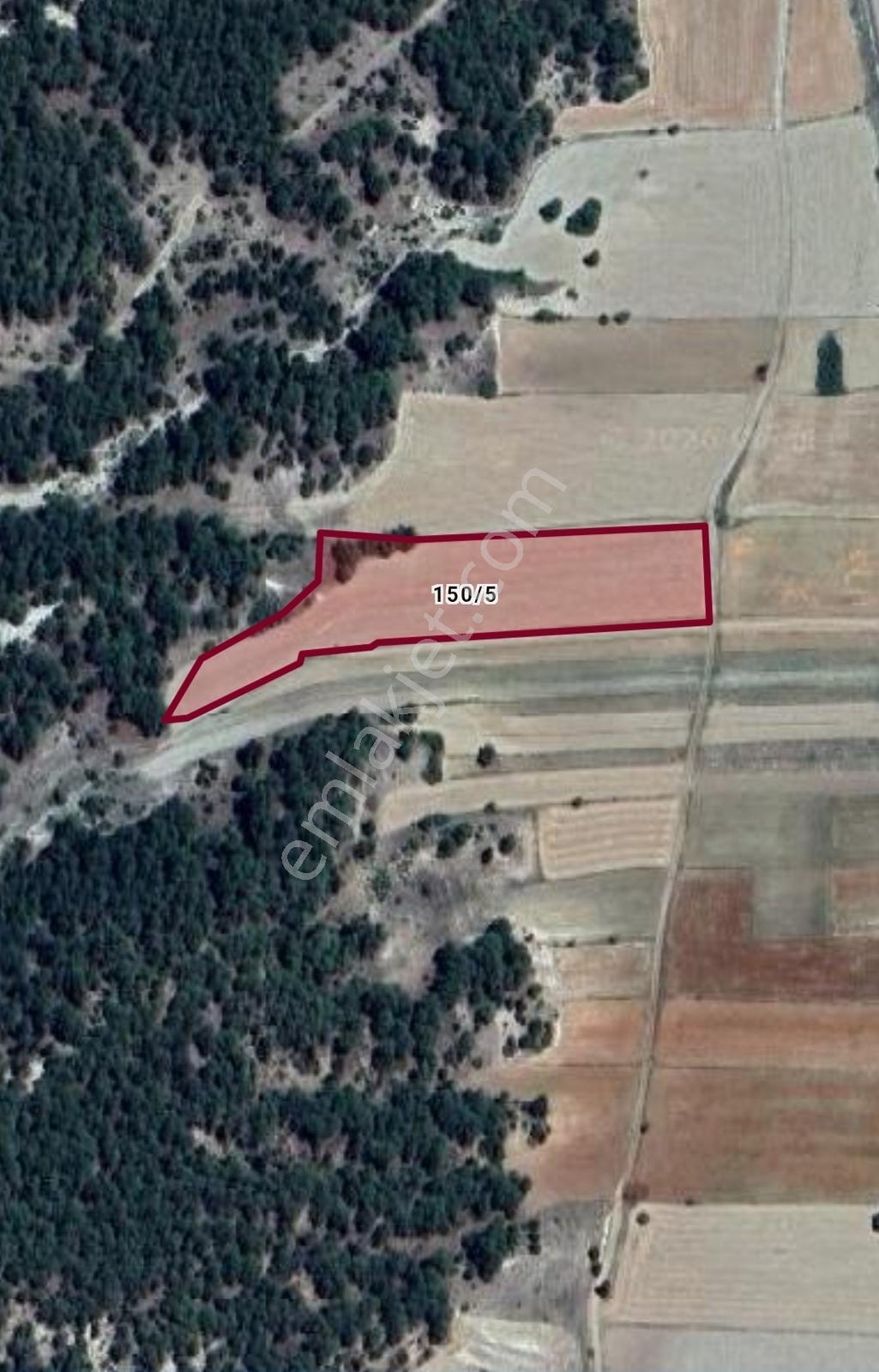 Burdur-merkez-bereket Köyü 8.085 M² Müstakil Tapu Satılık Tarla - Görsel 9