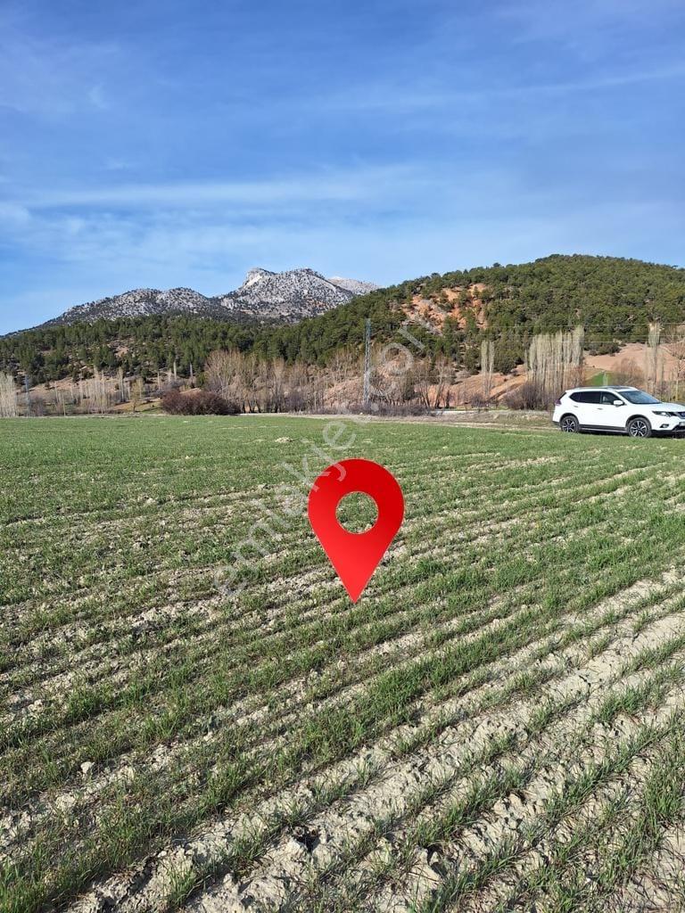 Burdur-merkez-bereket Köyü 8.085 M² Müstakil Tapu Satılık Tarla - Görsel 6