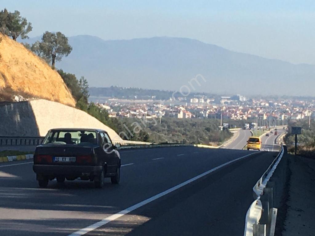 Satılık Zeytinlik - Görsel 21