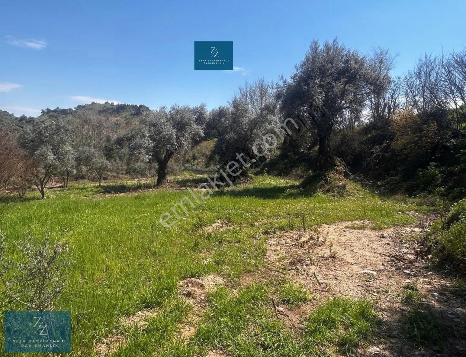 Seta Gayrimenkul |musluca'da Satılık 7266m² Tarla - Görsel 3
