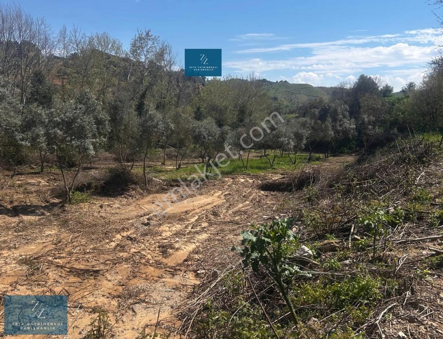 Seta Gayrimenkul |musluca'da Satılık 7266m² Tarla - Görsel 5
