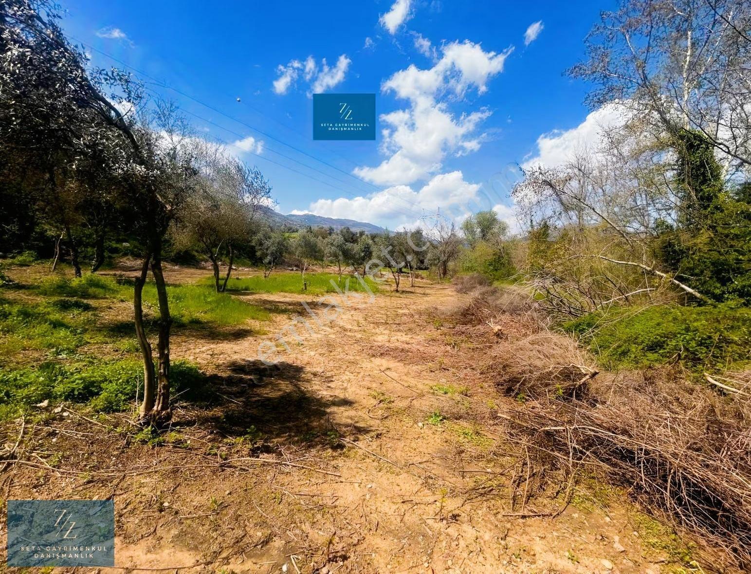 Seta Gayrimenkul |musluca'da Satılık 7266m² Tarla - Görsel 16