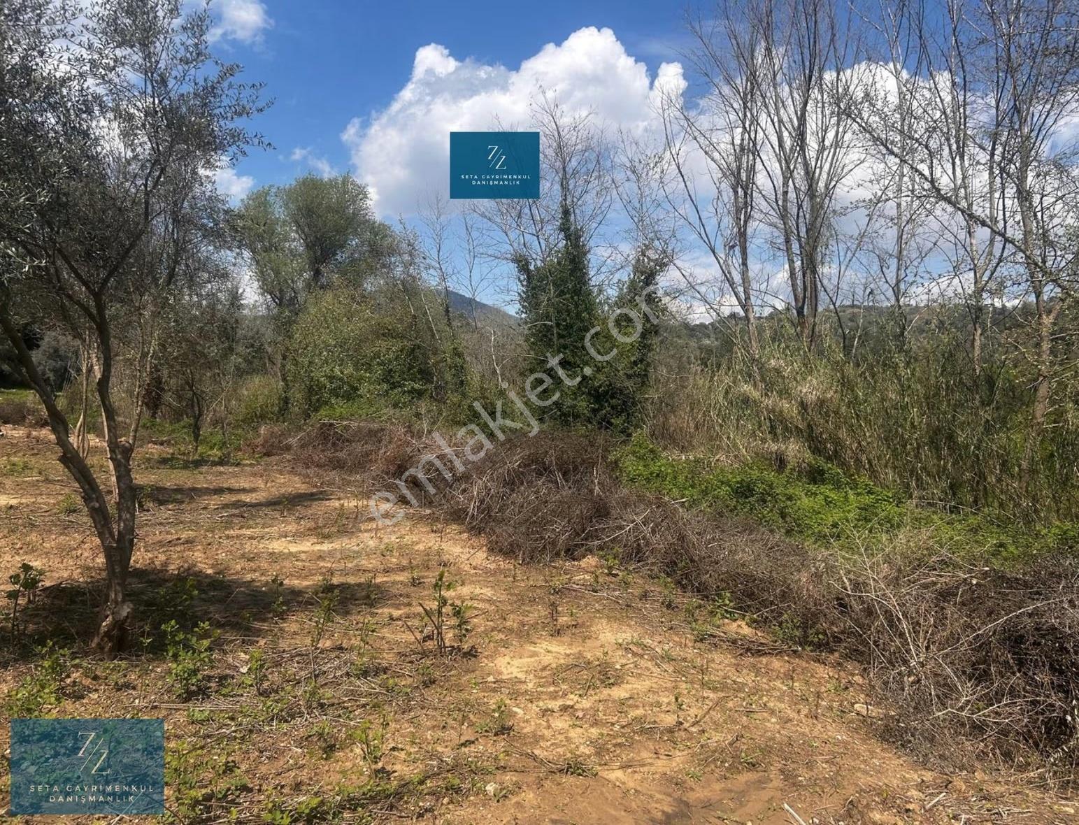 Seta Gayrimenkul |musluca'da Satılık 7266m² Tarla - Görsel 2
