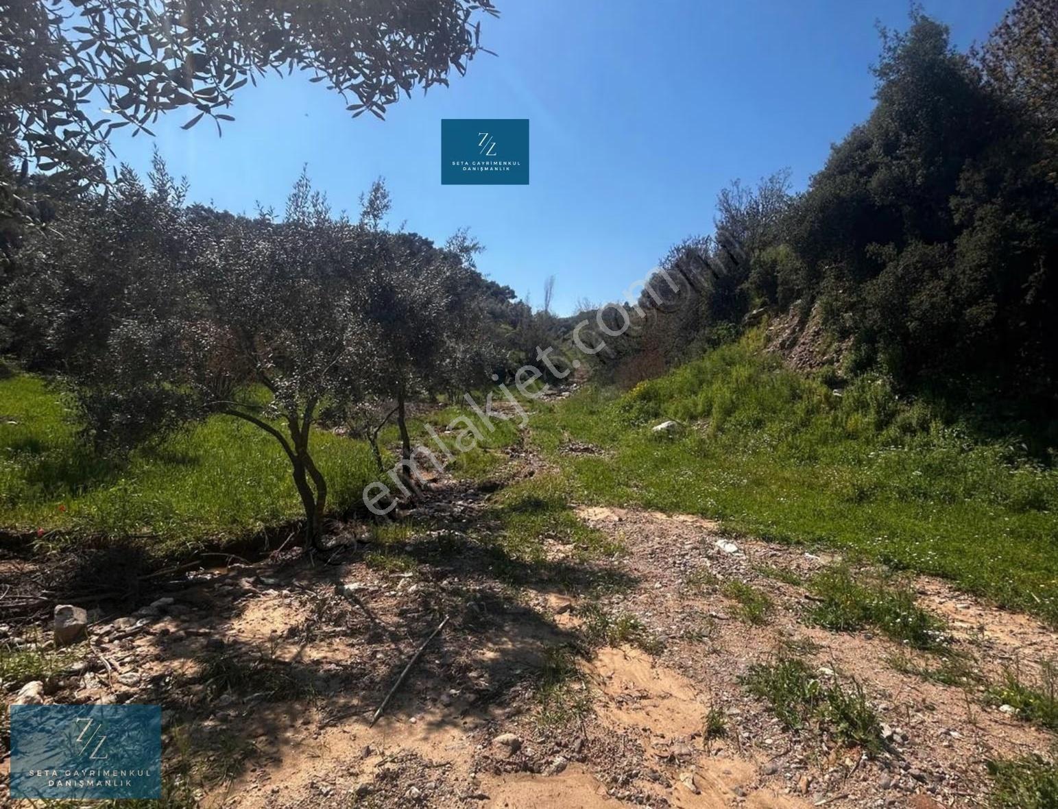 Seta Gayrimenkul |musluca'da Satılık 7266m² Tarla