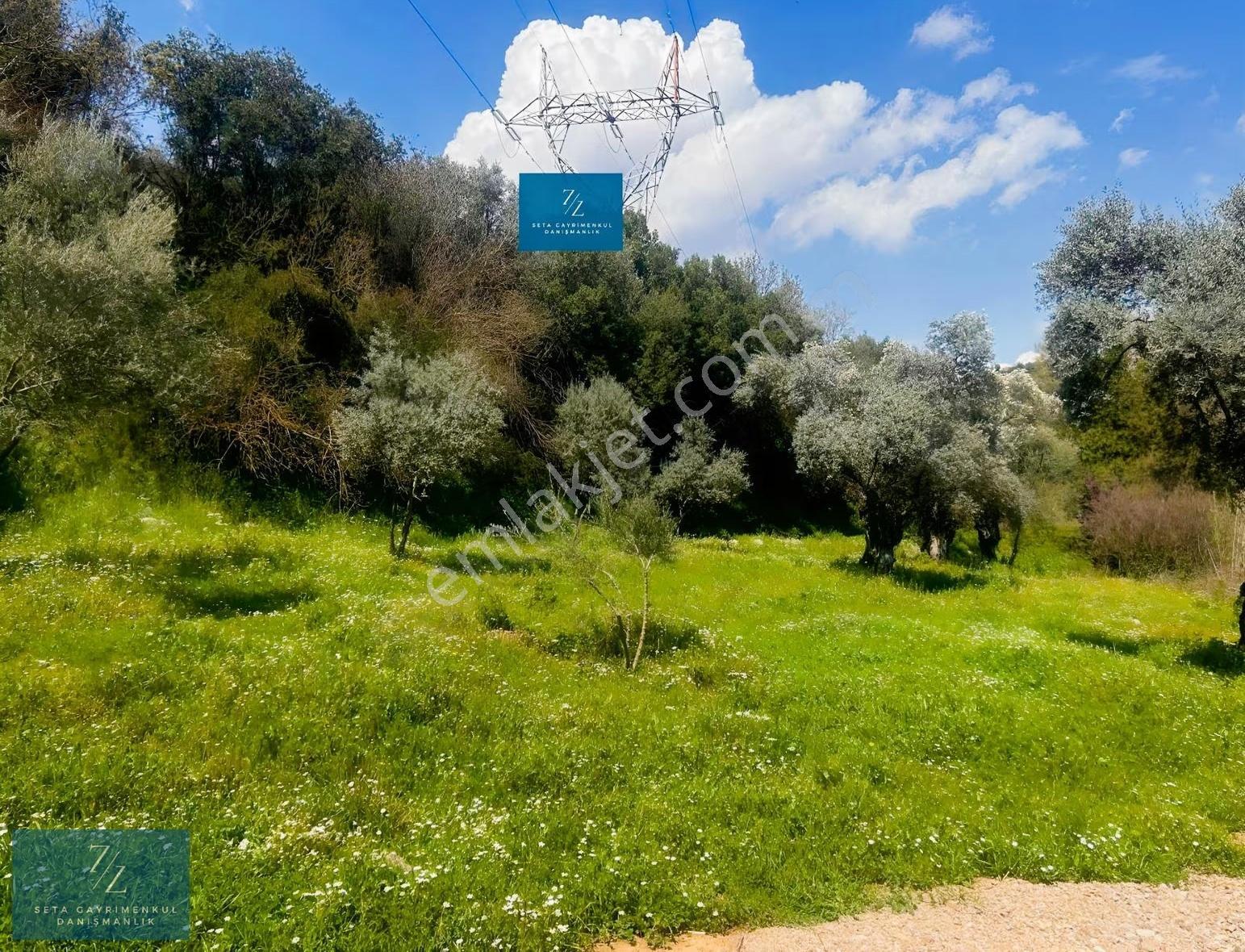 Seta Gayrimenkul |musluca'da Satılık 7266m² Tarla - Görsel 12