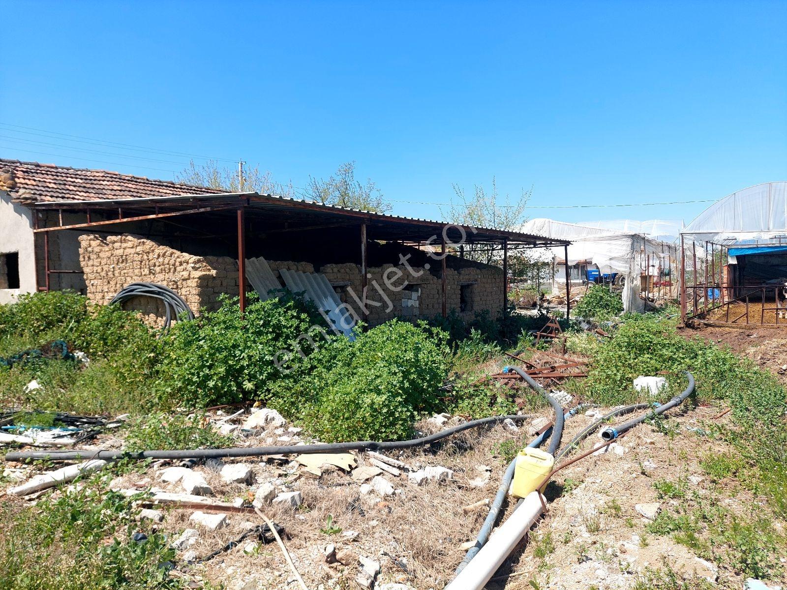 Menderes Develide Satılık Çiflik - Görsel 10