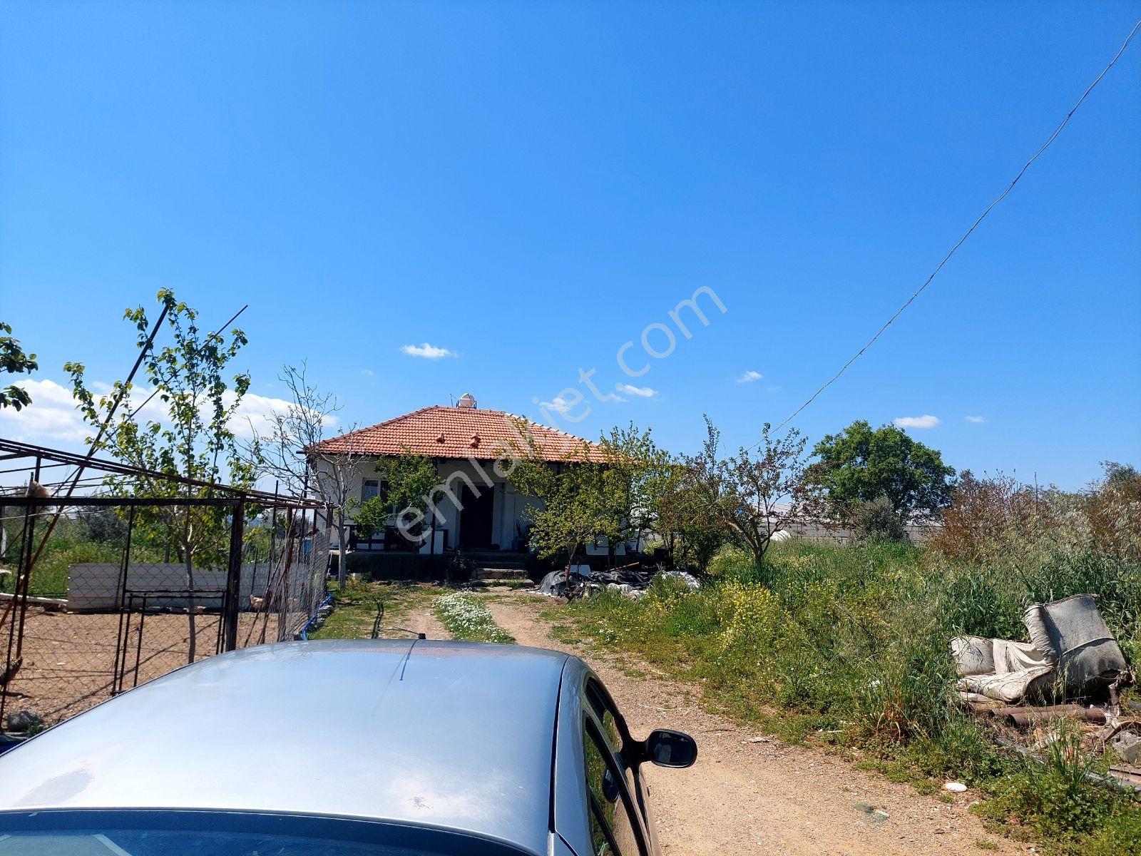 Menderes Develide Satılık Çiflik - Görsel 8