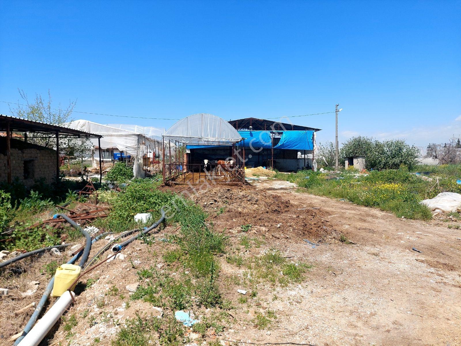 Menderes Develide Satılık Çiflik - Görsel 9