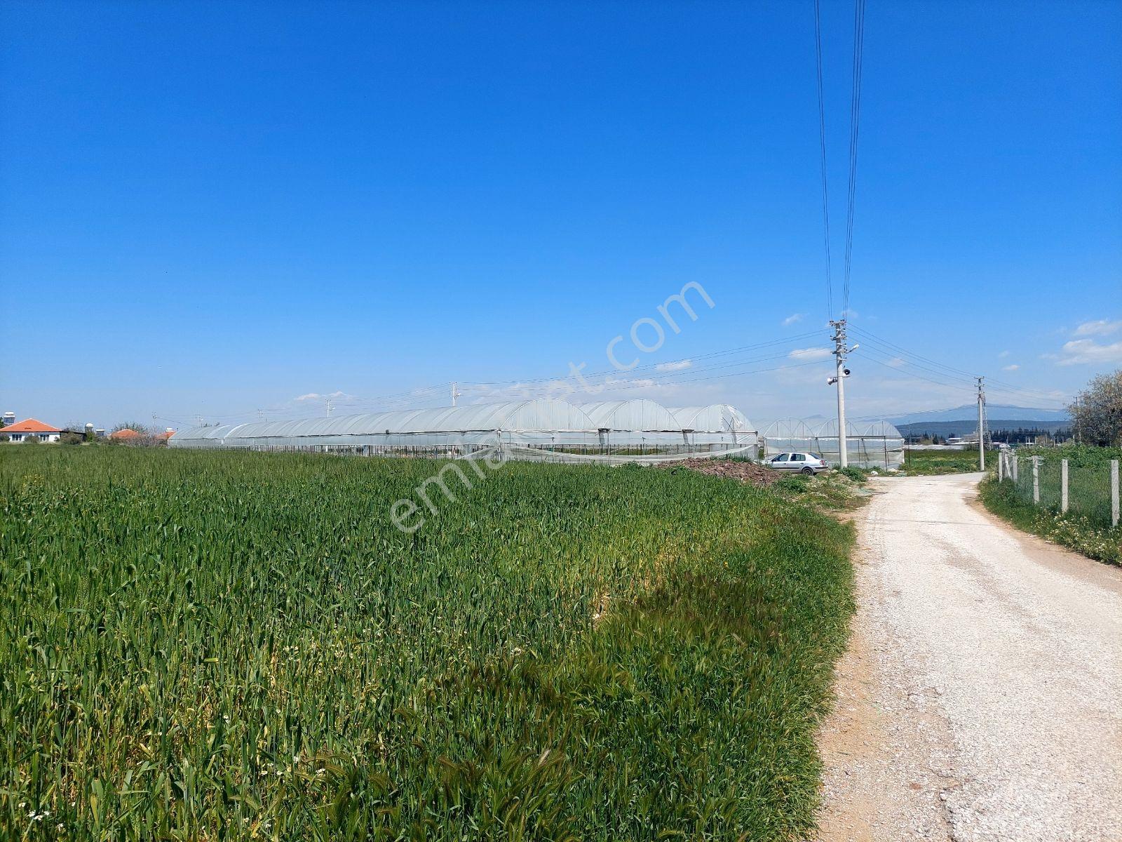 Menderes Develide Satılık Çiflik - Görsel 11