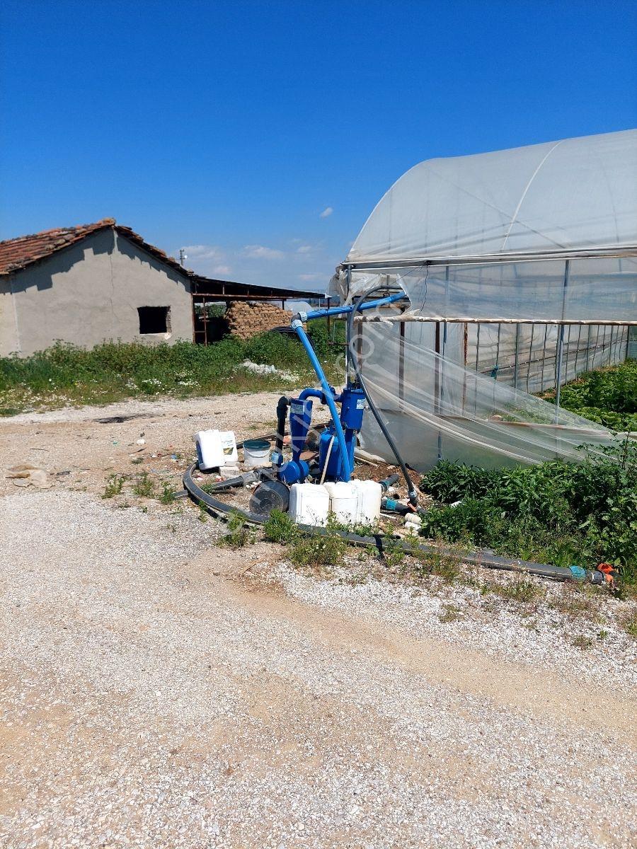 Menderes Develide Satılık Çiflik - Görsel 14