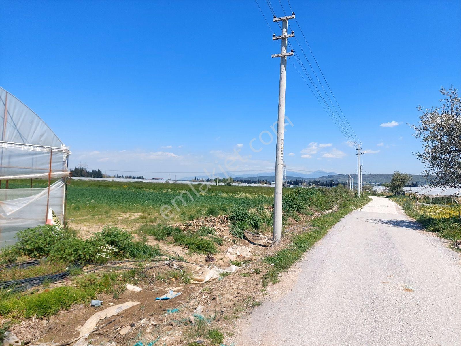 Menderes Develide Satılık Çiflik - Görsel 6