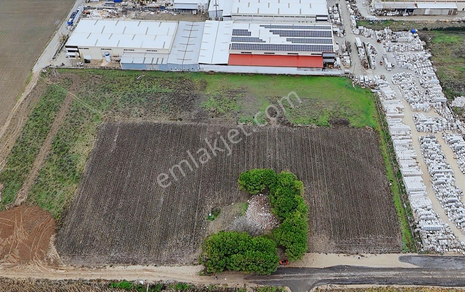 Torbalı Pancarda Depo İmarlı 11804 M' Satılık Arsa - Görsel 17