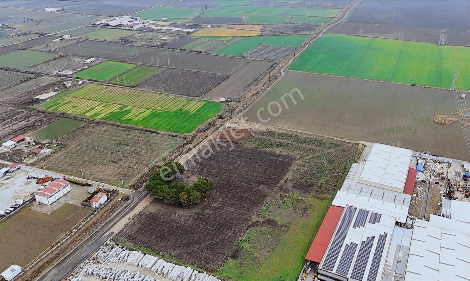 Torbalı Pancarda Depo İmarlı 11804 M' Satılık Arsa - Görsel 33