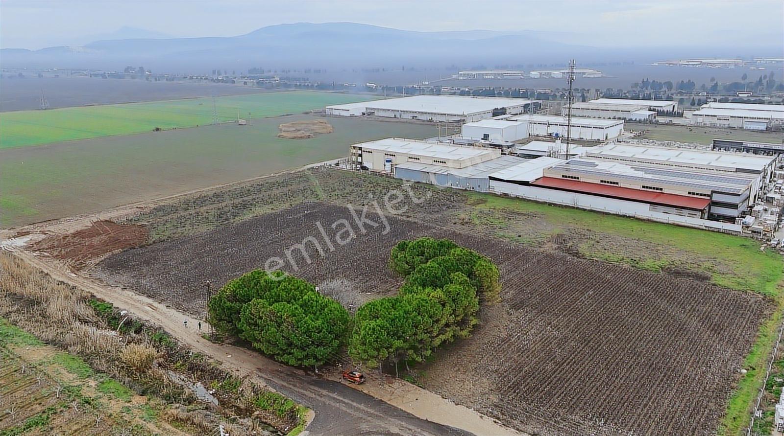 Torbalı Pancarda Depo İmarlı 11804 M' Satılık Arsa - Görsel 9