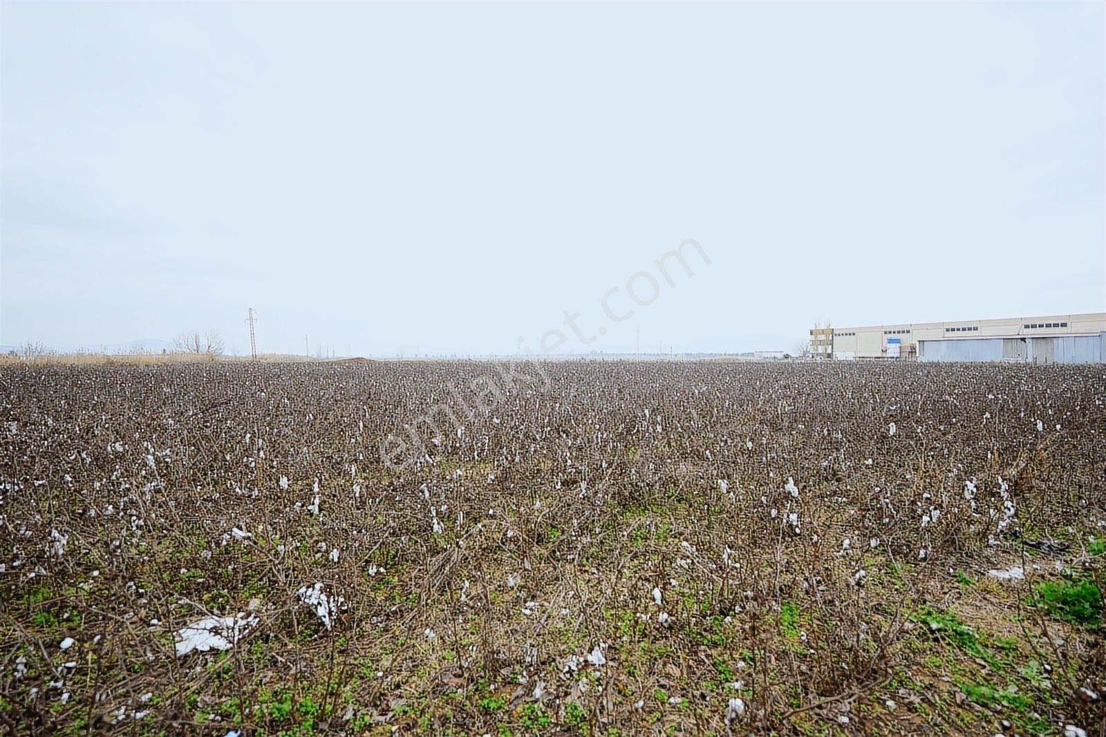 Torbalı Pancarda Depo İmarlı 11804 M' Satılık Arsa - Görsel 5