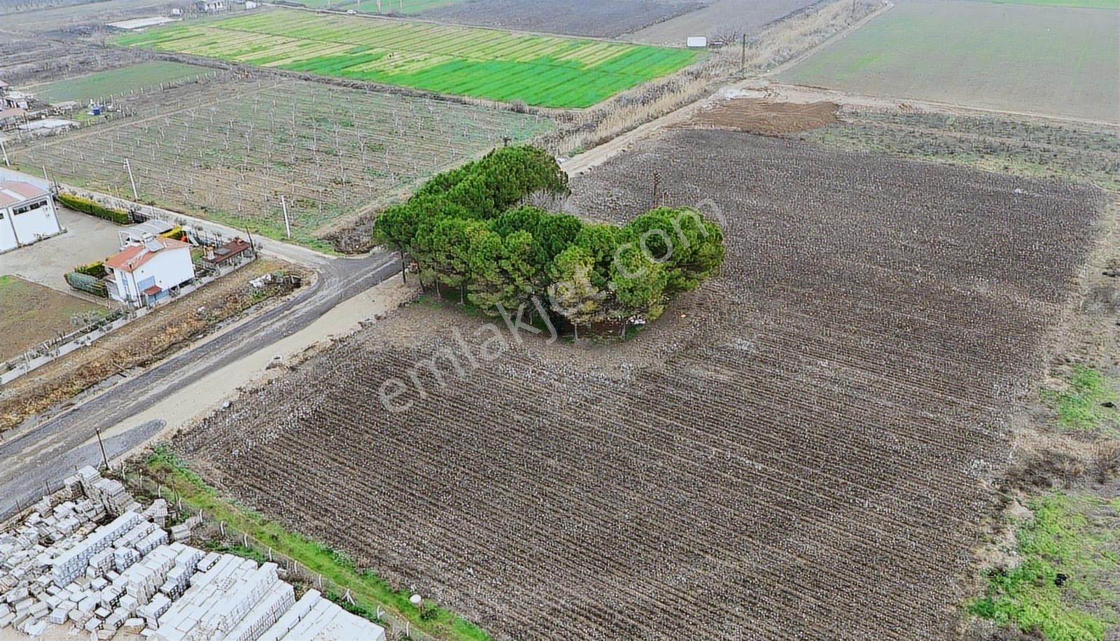 Torbalı Pancarda Depo İmarlı 11804 M' Satılık Arsa - Görsel 20