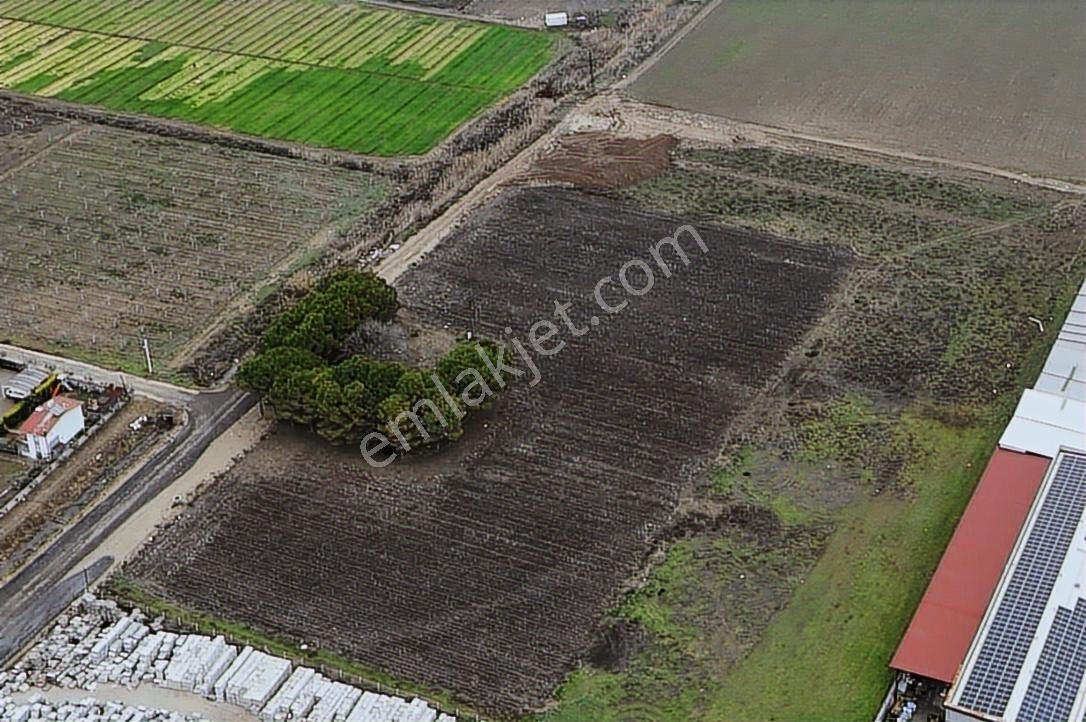 Torbalı Pancarda Depo İmarlı 11804 M' Satılık Arsa - Görsel 23