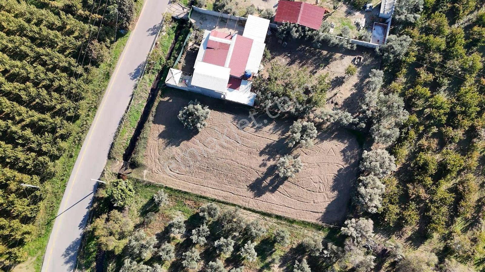 Kemalpaşa Ören 75.yıl Cumhuriyet'te Ana Yola Cephe 1.210 M2 Bağ - Görsel 2