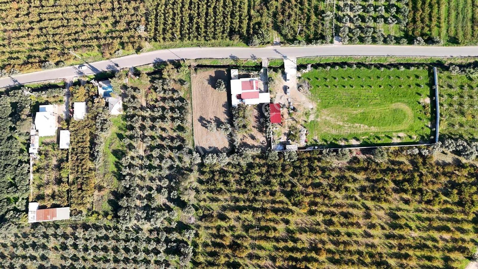 Kemalpaşa Ören 75.yıl Cumhuriyet'te Ana Yola Cephe 1.210 M2 Bağ - Görsel 4