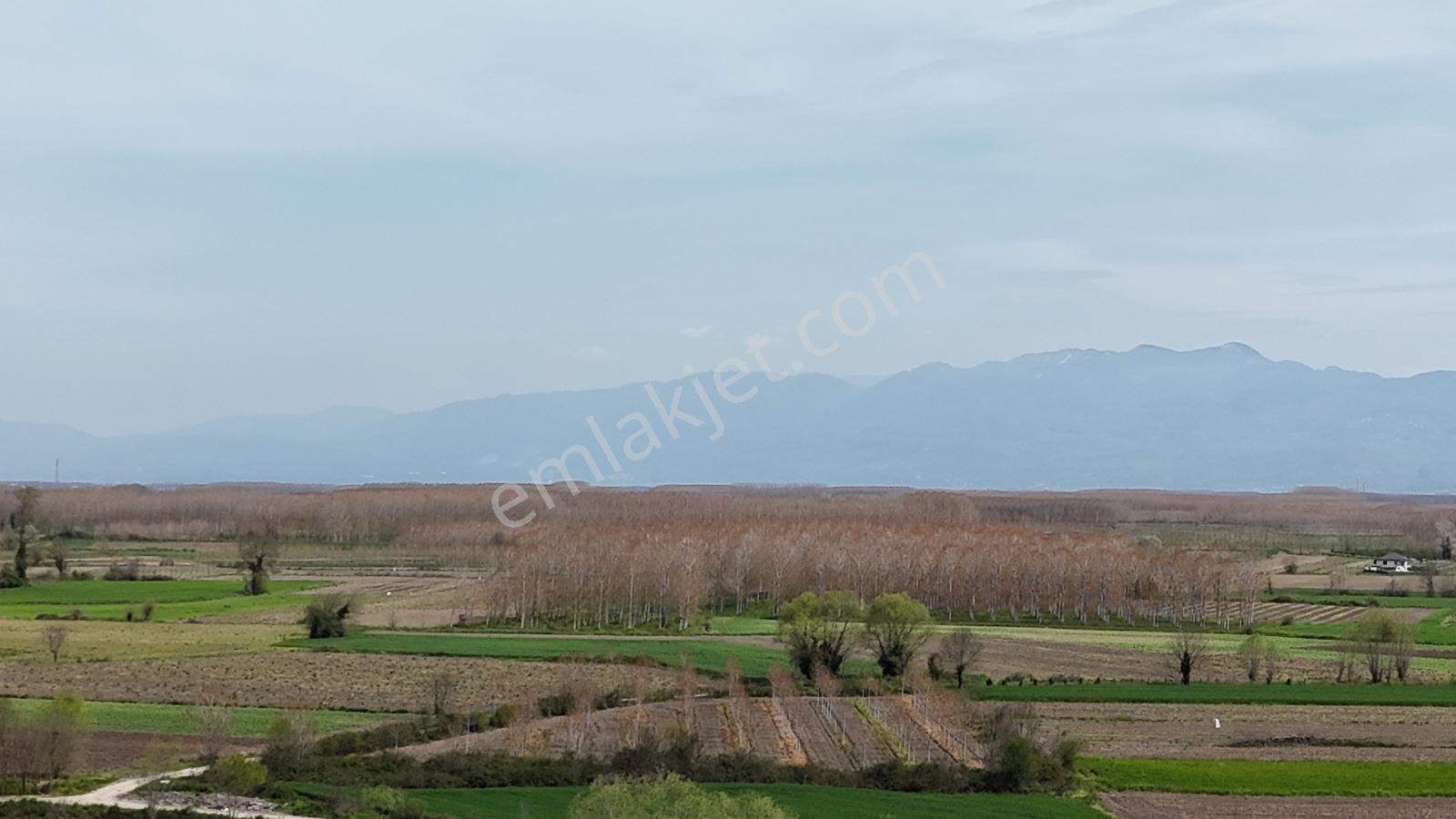 Sakarya Erenler Hasanbey Mahallesinde Satılık Arazi - Görsel 7