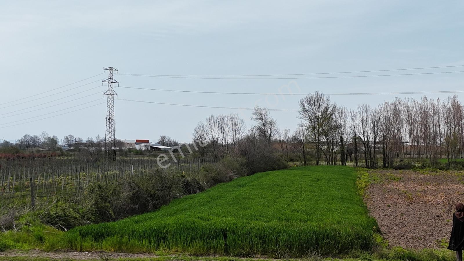Sakarya Erenler Hasanbey Mahallesinde Satılık Arazi - Görsel 18