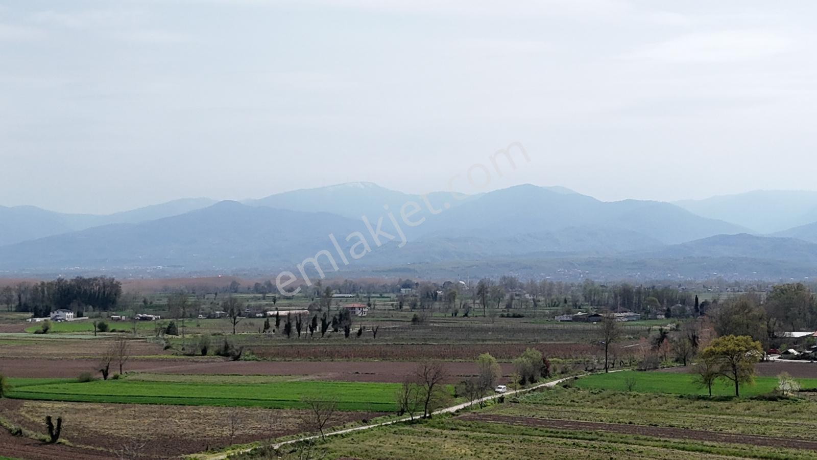 Sakarya Erenler Hasanbey Mahallesinde Satılık Arazi - Görsel 11