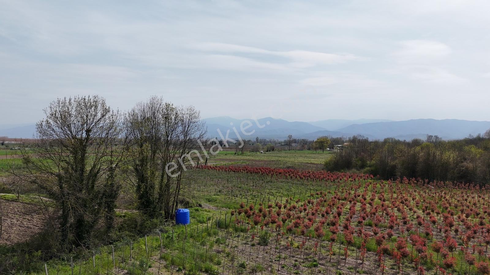 Sakarya Erenler Hasanbey Mahallesinde Satılık Arazi - Görsel 15