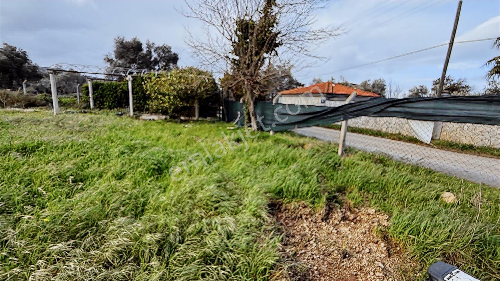 Urla Çeşmealtı Güvendik'te Yatırımın Tam Zamanı - Görsel 8