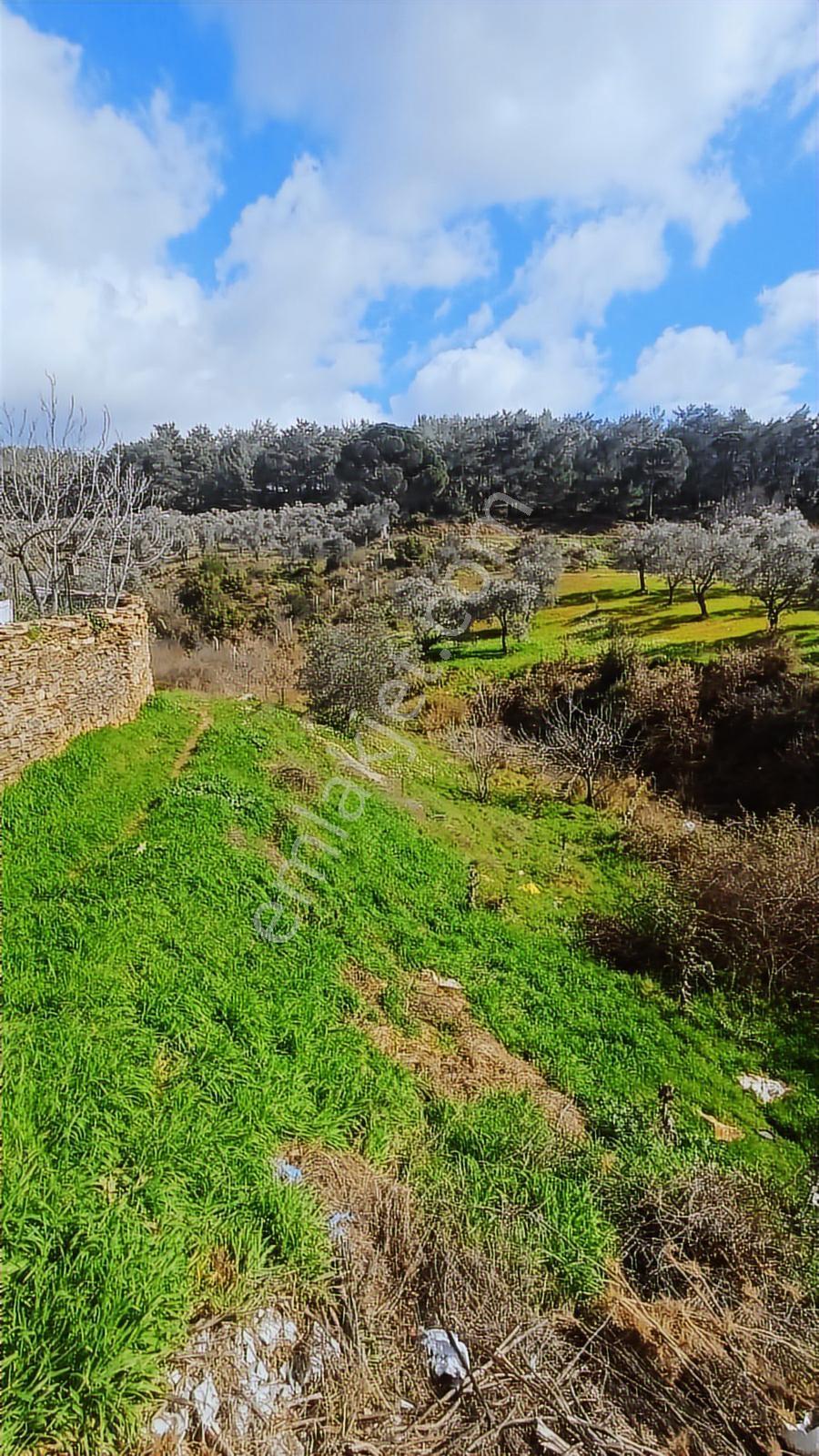 Fırsat Satılık Arsa 2 Kat İmarlı 401 M² - Görsel 17