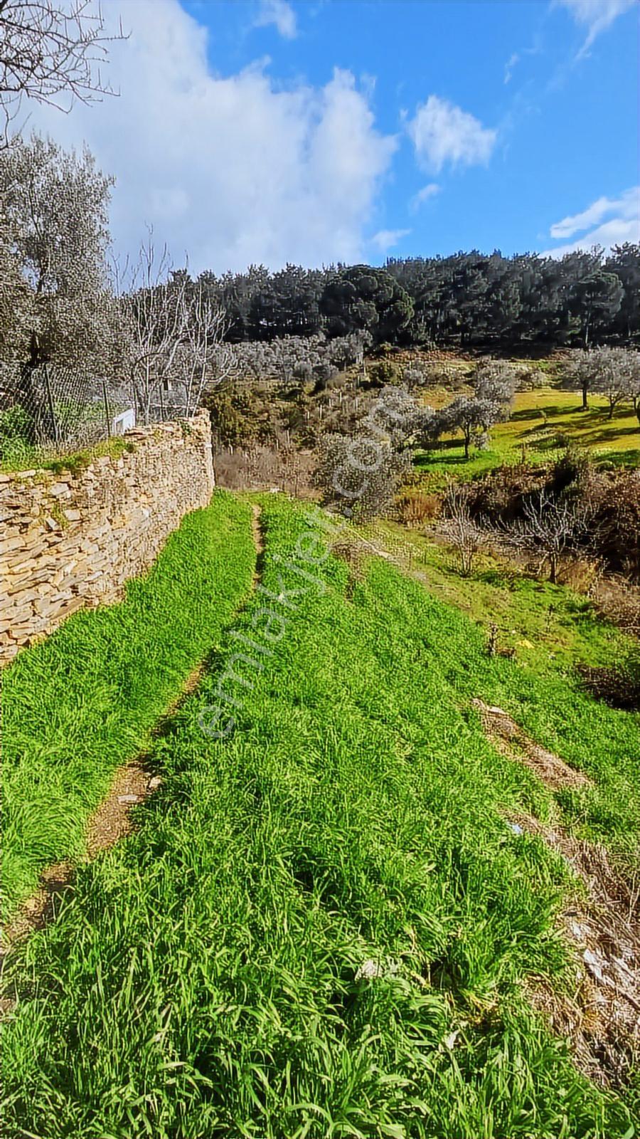 Fırsat Satılık Arsa 2 Kat İmarlı 401 M² - Görsel 2