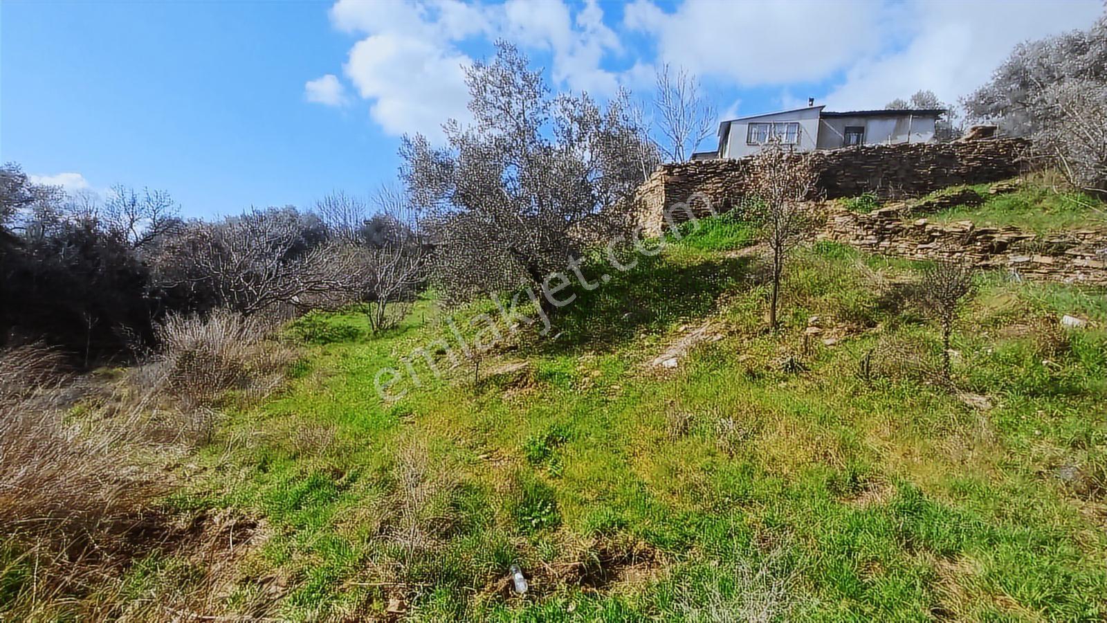 Fırsat Satılık Arsa 2 Kat İmarlı 401 M² - Görsel 4