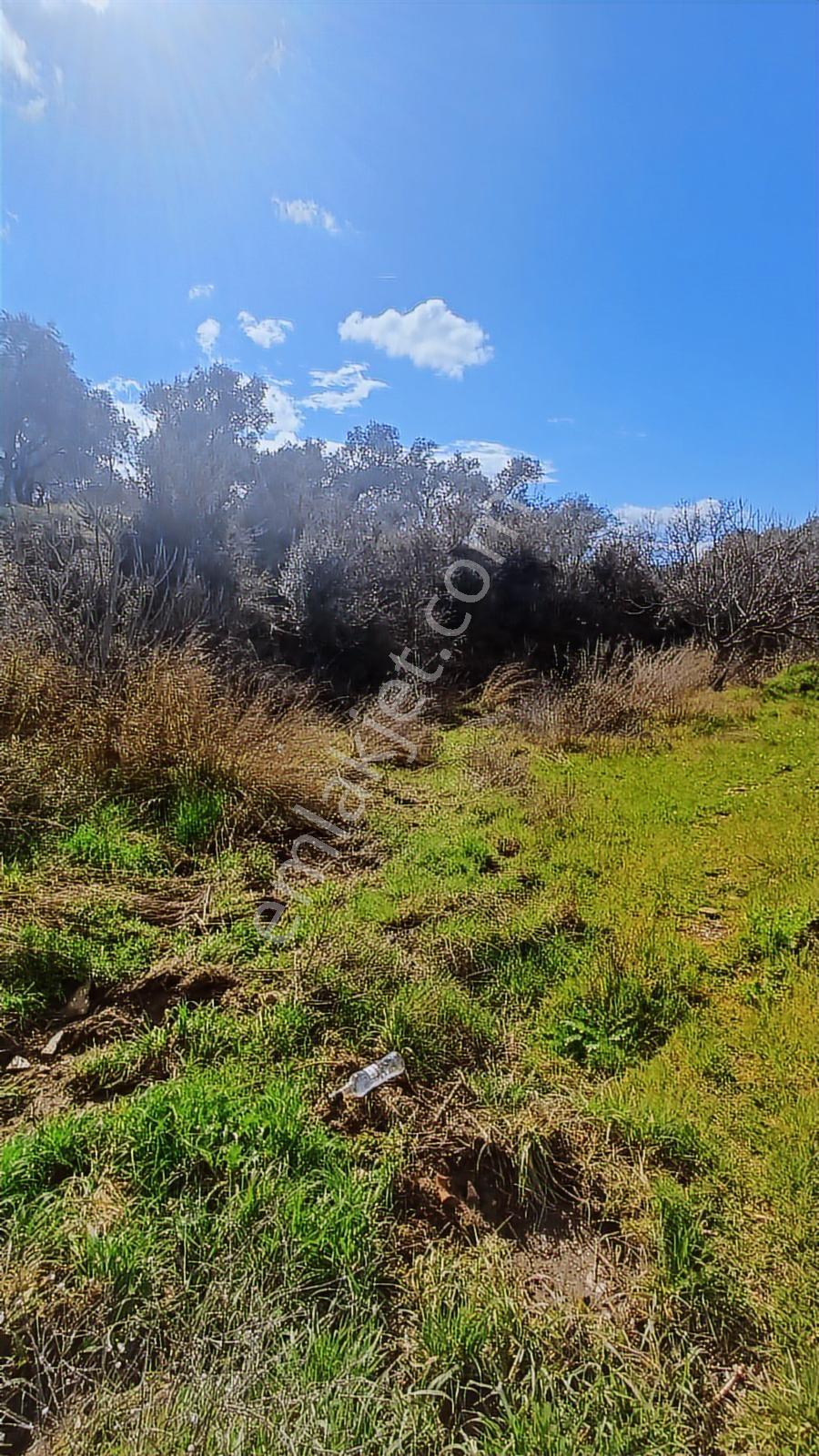 Fırsat Satılık Arsa 2 Kat İmarlı 401 M² - Görsel 5