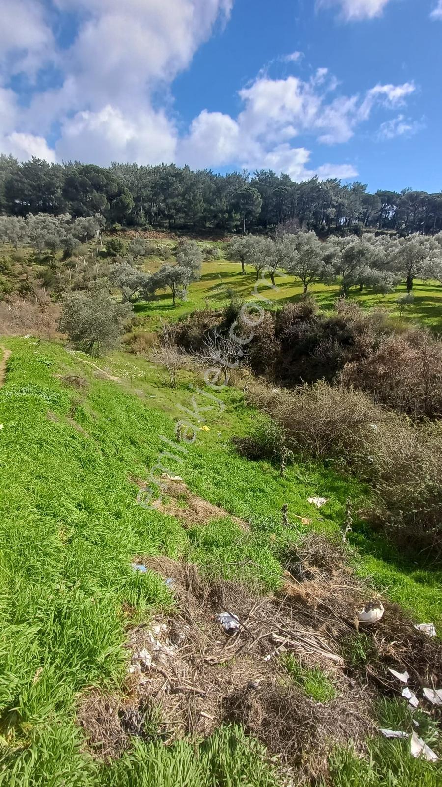 Fırsat Satılık Arsa 2 Kat İmarlı 401 M² - Görsel 10