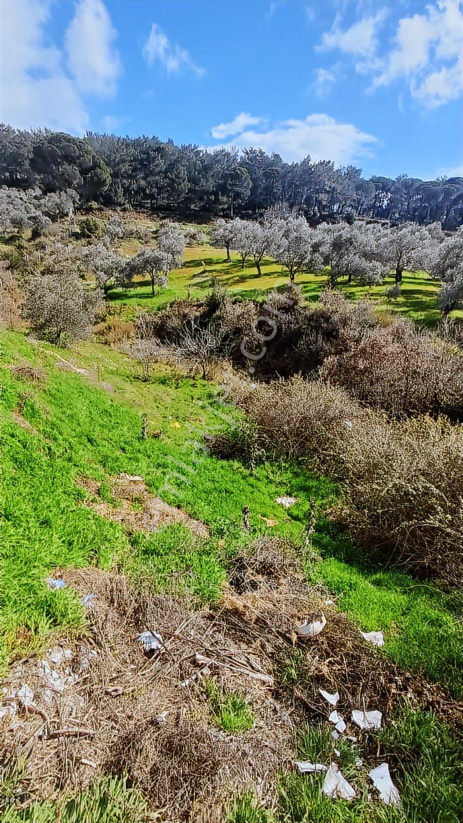 Fırsat Satılık Arsa 2 Kat İmarlı 401 M² - Görsel 7
