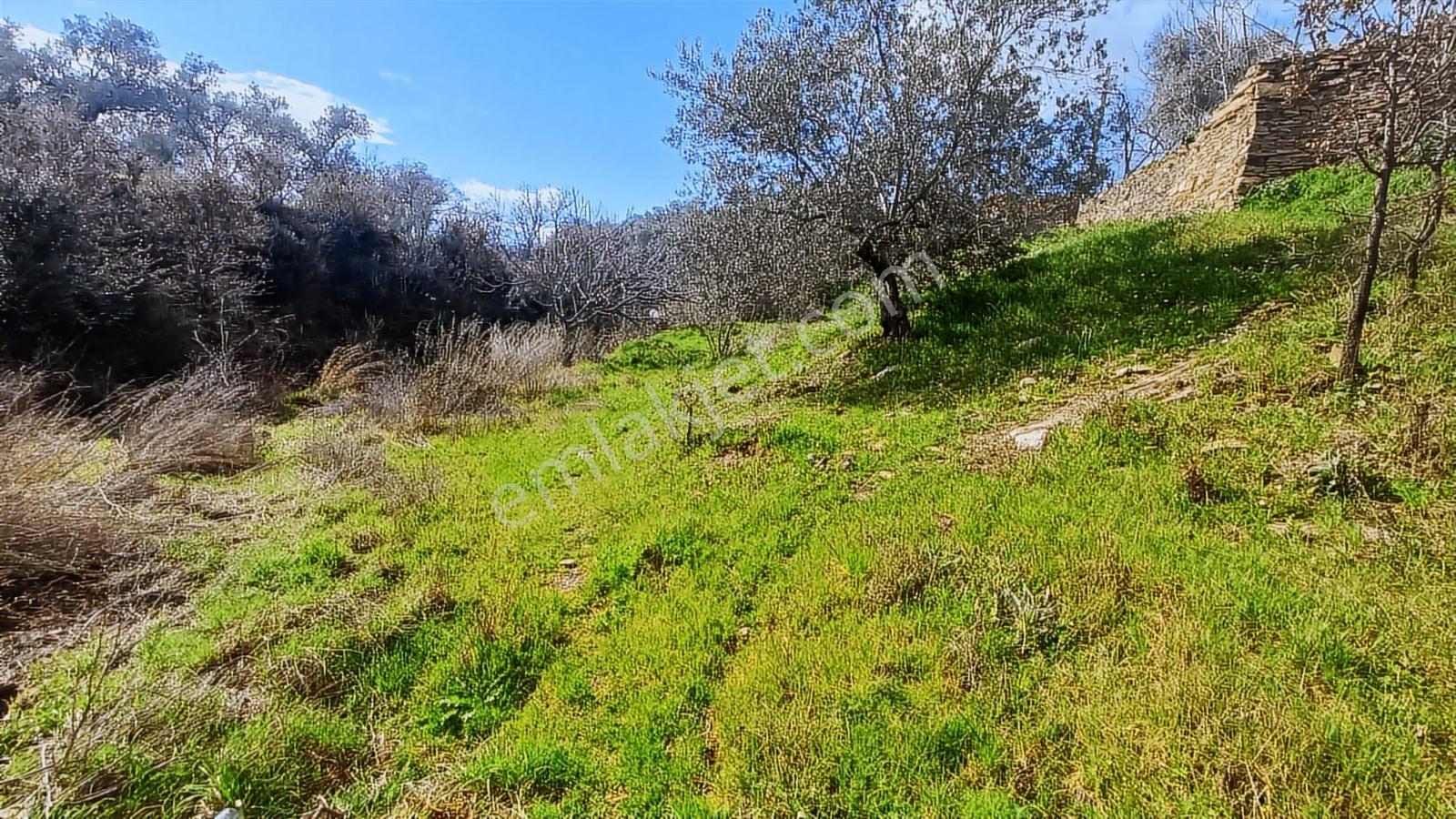Fırsat Satılık Arsa 2 Kat İmarlı 401 M² - Görsel 9
