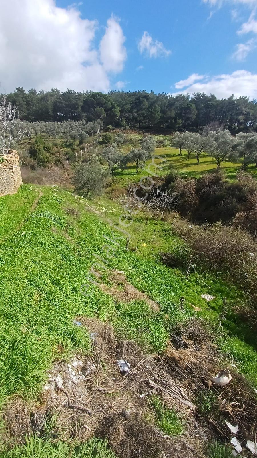 Fırsat Satılık Arsa 2 Kat İmarlı 401 M² - Görsel 8
