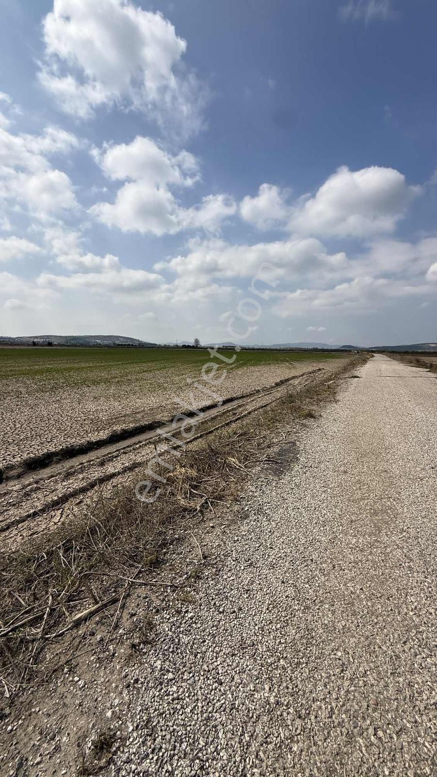 Çift Yol Cepheli 8183 M2 Yatırımlık Arazi - Görsel 8