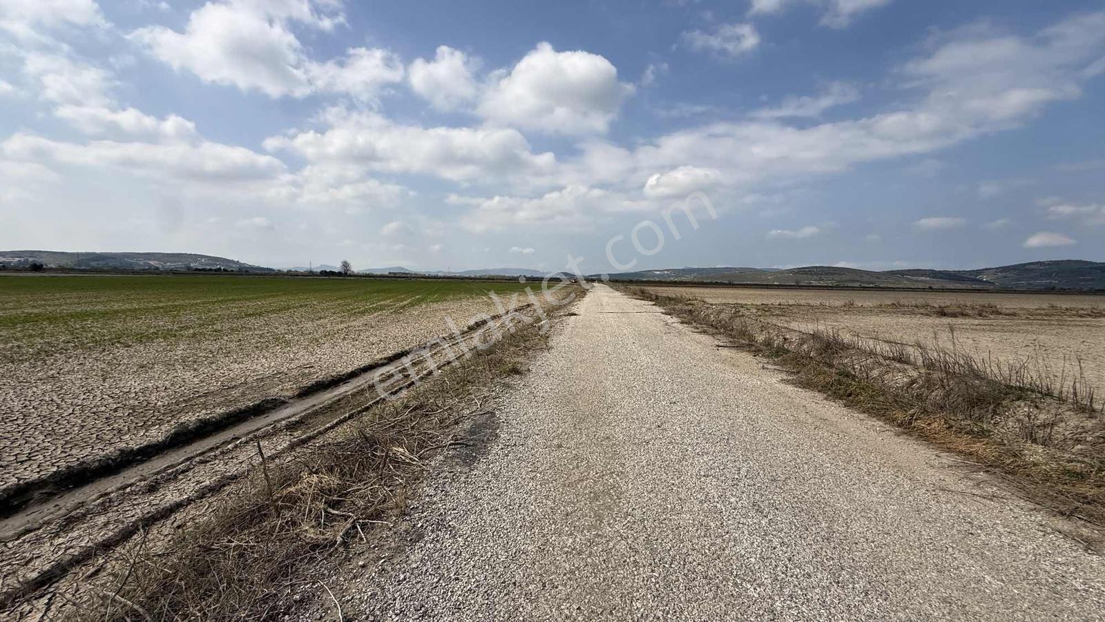 Çift Yol Cepheli 8183 M2 Yatırımlık Arazi - Görsel 15