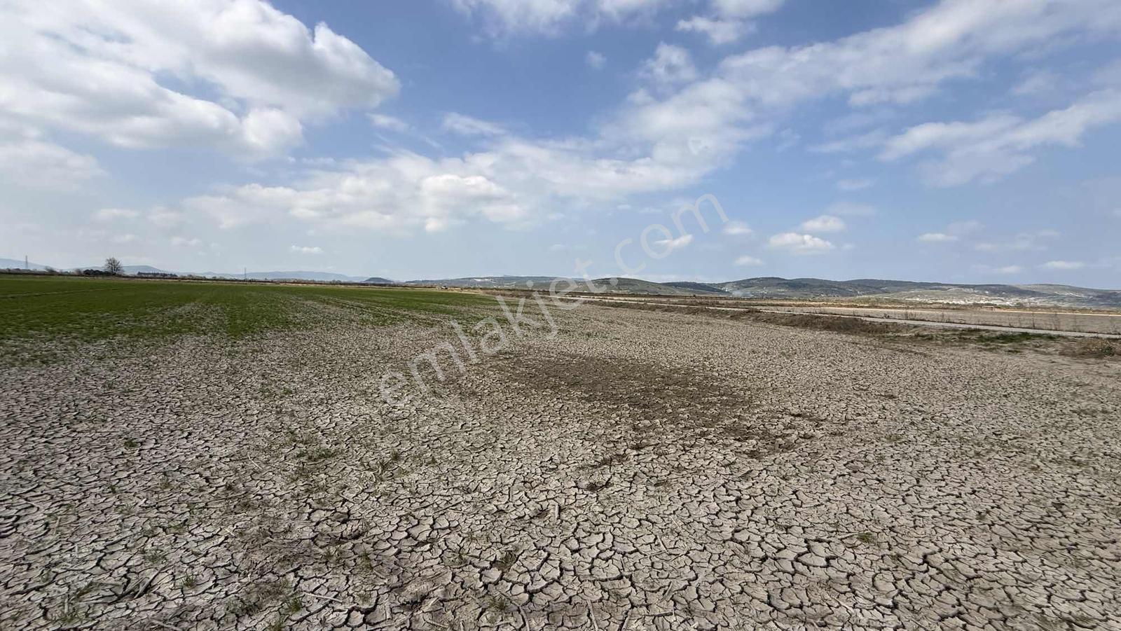 Çift Yol Cepheli 8183 M2 Yatırımlık Arazi - Görsel 12