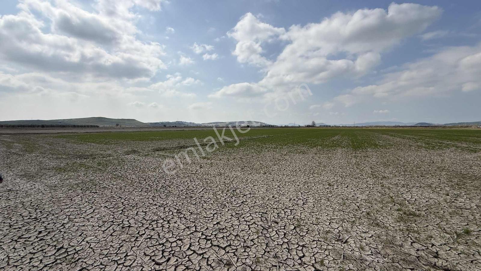 Çift Yol Cepheli 8183 M2 Yatırımlık Arazi - Görsel 4