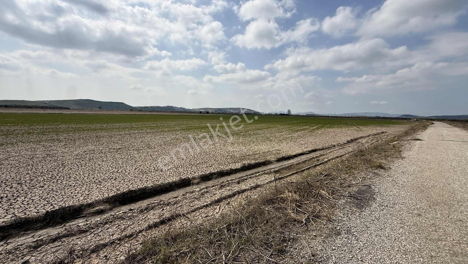 Çift Yol Cepheli 8183 M2 Yatırımlık Arazi - Görsel 7