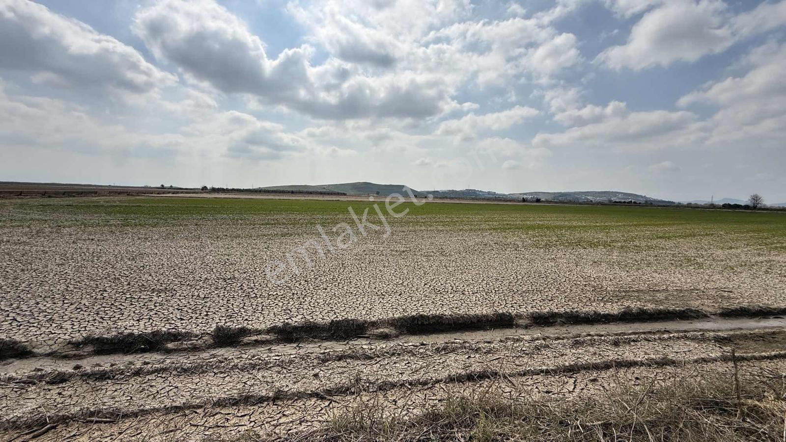 Çift Yol Cepheli 8183 M2 Yatırımlık Arazi - Görsel 6