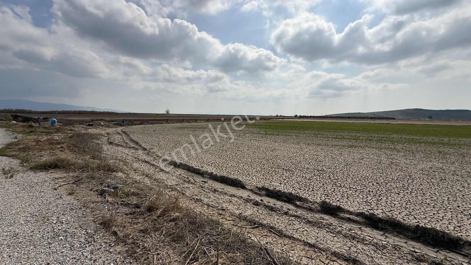 Çift Yol Cepheli 8183 M2 Yatırımlık Arazi - Görsel 13